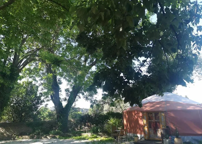 Yourte Namaste Homestay